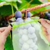 YOUNLEN Grape Protection Bags, Pack of 50 Grape Protective Bags,