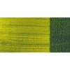Golden - OPEN Acrylic Colour - 60ml Tube - Green
