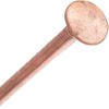 25, 30mm x 2.65mm Copper Clout Roofing Nails - Also