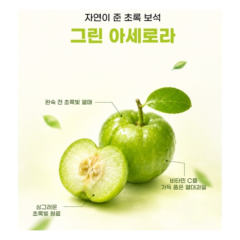 그린 아세로라 추출 분말 비타민c 100%, 100g, 6개 Green Acerola