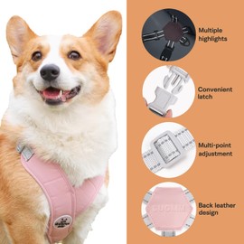 Vxcbad Puppy Dog Harness with Lead Safety Harness Dog Anti-Pull Dog Harness Chest Harness Dog X-Shape with Lead Pink Reflective for 5-9 kg Dogs 1.5 m