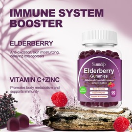 Elderberry Gummies with Zinc and Vitamin C Immune Support Herbal Dietary Supplements Berry Flavor Vegan Gummy Non-GMO Gluten Free 60 Gummies-2 Pack