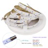 LEDENET RGB W WW 24V Flexible LED Strip Lighting Full