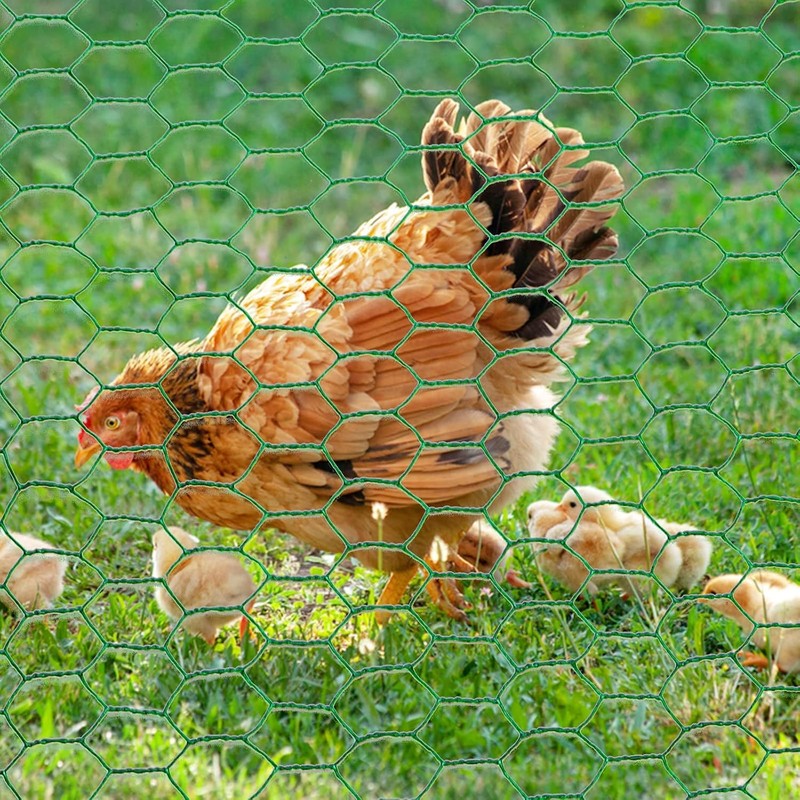 Chicken Wire Mesh Roll, 40cm x 5m Hexagonal Garden Netting