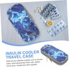 BIUDECO Storage Bag Insulated Travel Pouch for Medication Compact Case