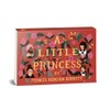 Penguin Minis: A Little Princess