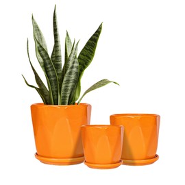 Sin wings Ceramic Plant Pots, 6.7 + 5.3 + 3.9 Inch Octagon Pots for Plants, Flower Planters for Indoor with Drainage and Saucer Set of 3, Bright Orange