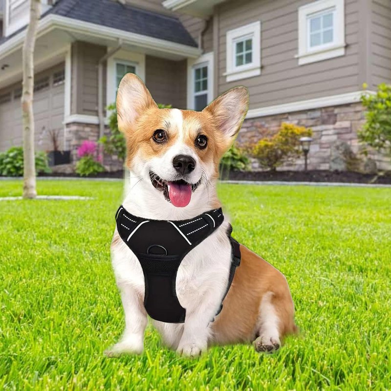 JSTHHTT Dog Harness Large Dog No Pull Pet Harness with