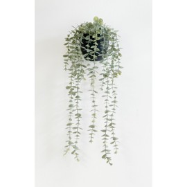 Mr. Bom Fake Hanging Plants Faux Plants Indoor Outdoor with Pot for Wall Desk Shelf décor (Eucalyptus)