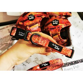 Tango Glitter Dog Collar XS
