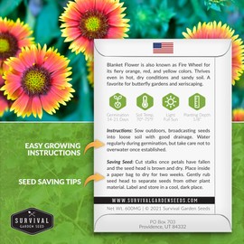 Survival Garden Seeds - Blanket Flower Seed for Planting - 5 Packs with Instructions to Plant and Grow Gaillardia Pulchella in Your Home Vegetable Garden - Non-GMO Heirloom Variety