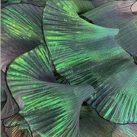 7Yards Ruffled Lace Fabric for Fashion Designers, Ideal for DIY Clothing and Sewing Decoration, Includes Silk, Organza Ribbon, Iridescent Ribbon, and Fabric Trim (Iridescent Green)