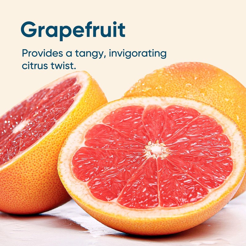 Venture Pal Sugar Free Electrolyte Powder Packets-Grapefruit