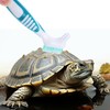 HAICN 2Pcs Turtle Cleaning Brush Turtle Shell Cleaning Brush Mini
