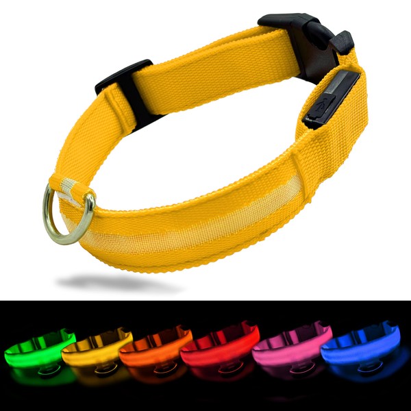 FluffMinds Light Up Rechargable Dog Collar, LED Dog Collar Light