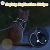 Cat Harness with Leash Set Mesh No Pull Reflective Escape
