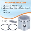 Haishine Piston Rings Kit for Echo SRM-225 SRM210 SRM211 GT200