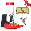 TT Nature Hummingbird Feeder with Camera Solar Powered, AI Identify