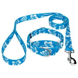 Country Brook Petz - Blue Hawaiian Martingale Dog Collar and Leash - Summer Breeze Collection Featuring Sunny Designs (1 Inch, Medium)