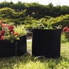 Plant Bag, 5 x 30 Litres, Non-Woven Fabric with Plant