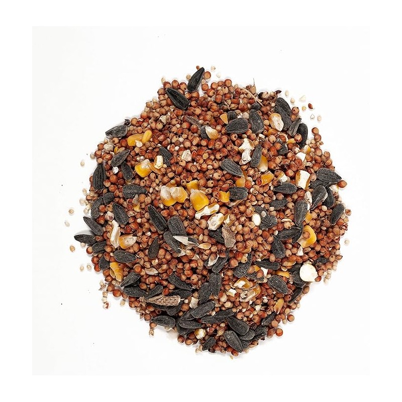 Wagner's 53002 Farmer's Delight Wild Bird Food with Cherry Flavor,