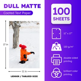 Dull 80lb Text Digital Low Gloss Paper, Double Sided C2S, Coated, Perfect for Color Laser Printing, Design Proposals, Flyers, Brochures | Matte Finish | 11" x 17" | 100 Sheets