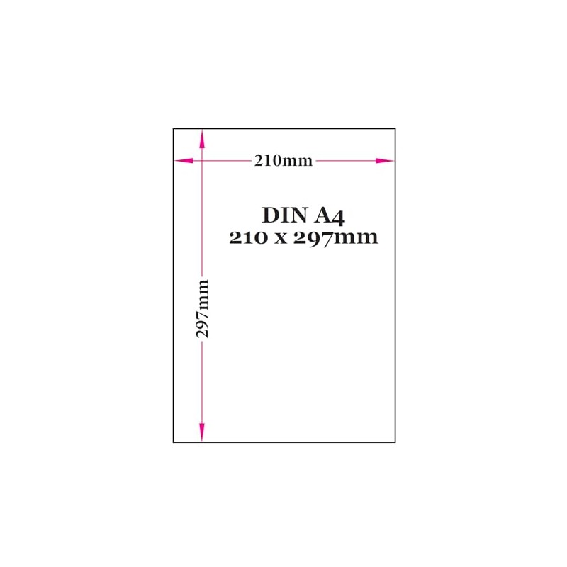Blackboard Calendar DIN A4 2026 (Pack of 5) Format (210