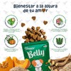 Waggys Belly, Suplemento Digestivo con Probióticos para Perros, 60 pzs