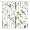 Fsfusvk Bird Shower Curtain Spring Colorful Birds on Tree with