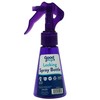 Handy Solutions Good To Go Locking Spray Bottle, 3 Ounce