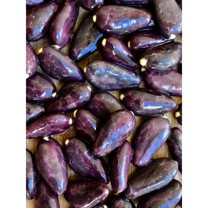 New and Healthy Red Theobroma Cacao Cocoa Chocolate Tropical Fruit