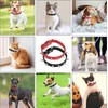 Small Dog Collar with Spikes, Spiked Cat Collar Pu Leather