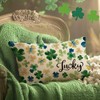 Fahrendom St Patricks Day Lumbar Decorative Rectangle Pillow Cover 12