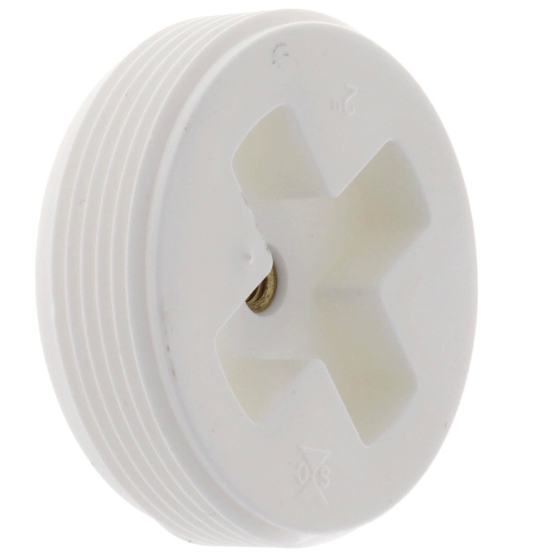 Sioux Chief 2 in. MPT in. PVC Clean-Out Plug