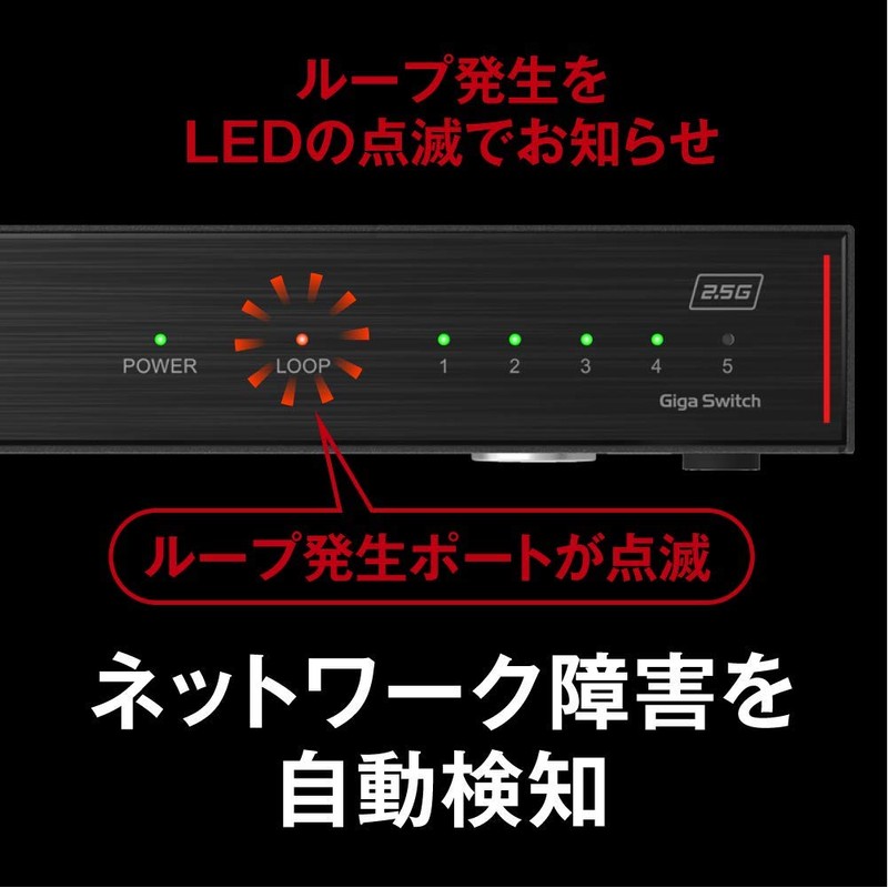 BUFFALO LXW-2G5 2.5GbE Metal Housing AC Power Supply 5 Port