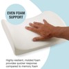 DMI Lumbar Support Pillow for Chair to Assist with Back