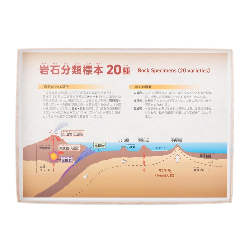 Oherikosha Book Type Specimen Set, 20 Types of Rock Classification