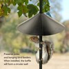 14in Sciuridae Baffle Blocker Sciuridae Wrap Around Bird Feeder Station