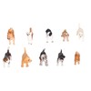 10PCS Mini Dog Figurines Toy Set Hand Painted Plastic Simulation