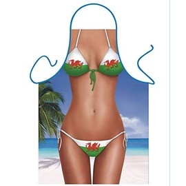 Iconic Aprons Welsh Bikini Apron, Polyester, Multi-Colour, 79 x 56 x 0.1 cm