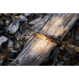 Light My Fire Grandpa Stainless Steel Barbecue Skewers - Hot Dog Holder & Outdoor Cooking Accessories - 2 Pack - Marshmallow Skewers Campfire Accessories - Barbecue Skewers Campfire & Hot Dog Set for