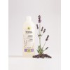 Shampoo Indush Olive Lavender 1L (Shampoo & Shower Gel) /