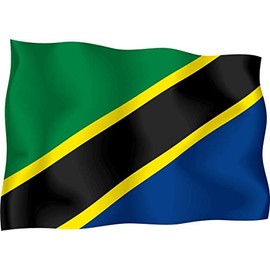 JJH Inc Magnet Tanzania Flag Flexible Vinyl Magnet Waterproof Car Magnetic Bumper Sticker 5"