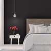 Rust-Oleum 380216 Black Sure Color Interior Paint + Primer, Flat,
