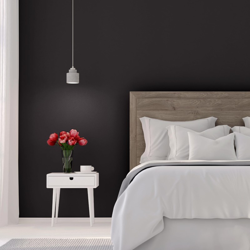 Rust-Oleum 380216 Black Sure Color Interior Paint + Primer, Flat,