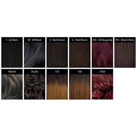 Freetress Equal Synthetic Drawstring Ponytail - Natural Fro-1B