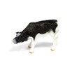 Talking Turtle 4pc Cow Figure Set - Plastic Farm Animal