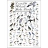 Earth Sky + Water - Coastal & Wetland Birds of