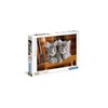 Clementoni Kitten Puzzle (500 Piece)