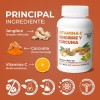 Probiticos 60 Billones Con 60 Cáps De 500 Mg |